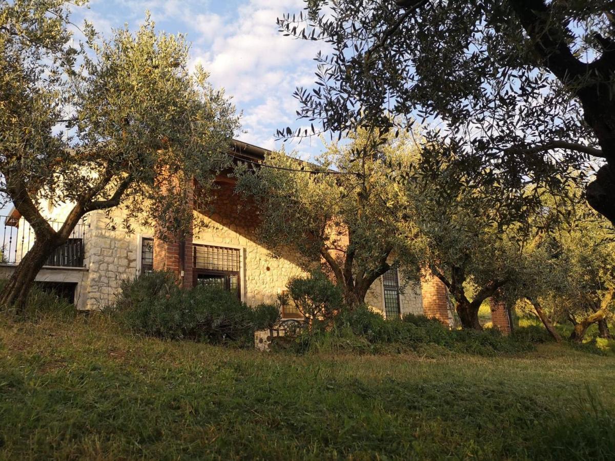 Agriturismo Bosco Magico เวโรนา ภายนอก รูปภาพ