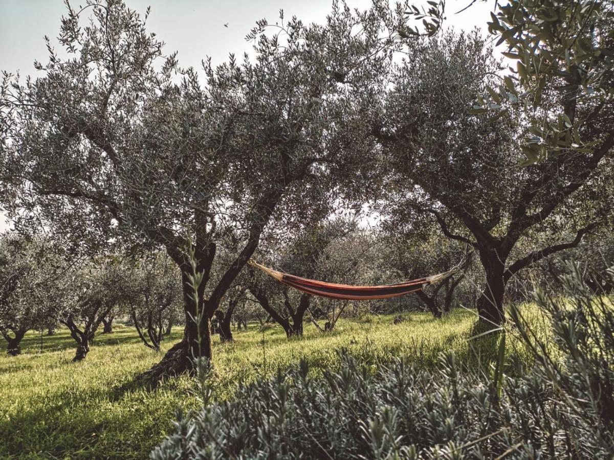 Agriturismo Bosco Magico เวโรนา ภายนอก รูปภาพ