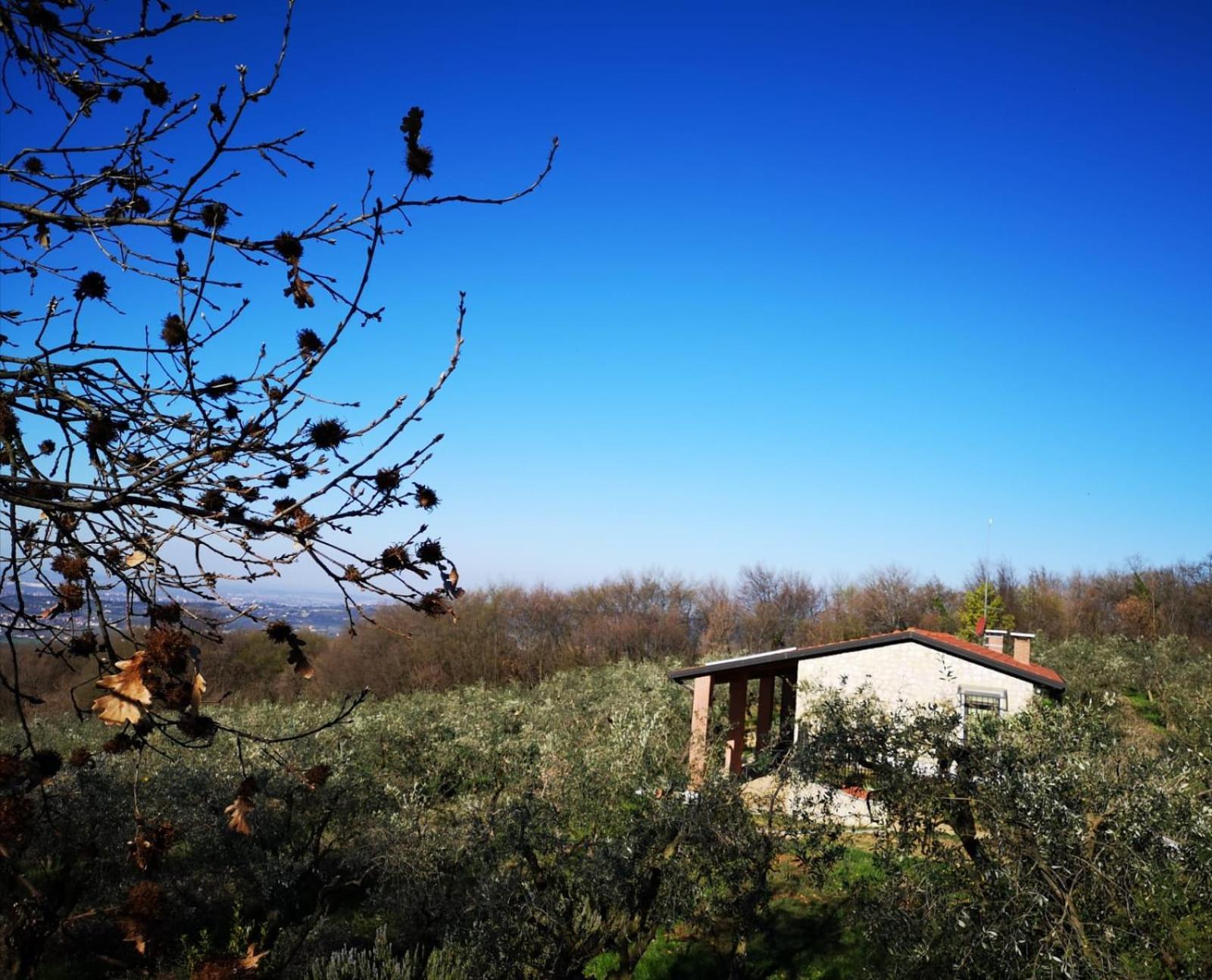 Agriturismo Bosco Magico เวโรนา ภายนอก รูปภาพ