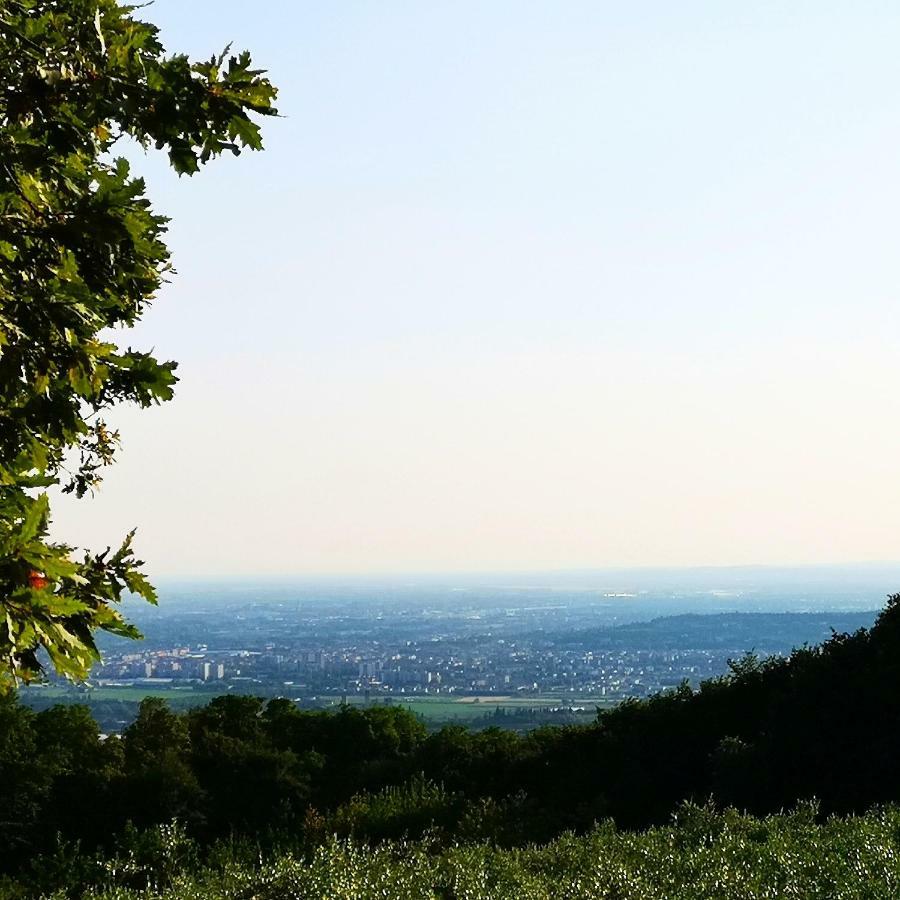 Agriturismo Bosco Magico เวโรนา ภายนอก รูปภาพ