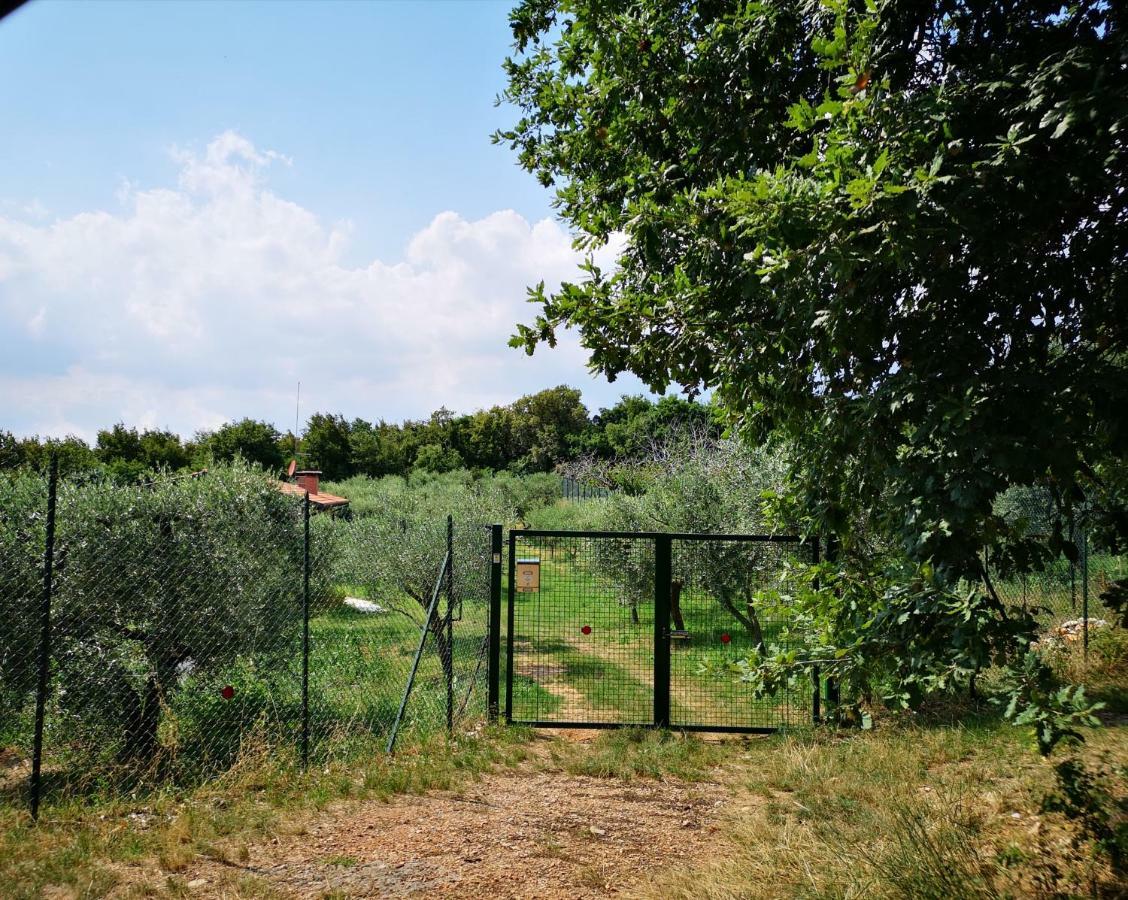 Agriturismo Bosco Magico เวโรนา ภายนอก รูปภาพ